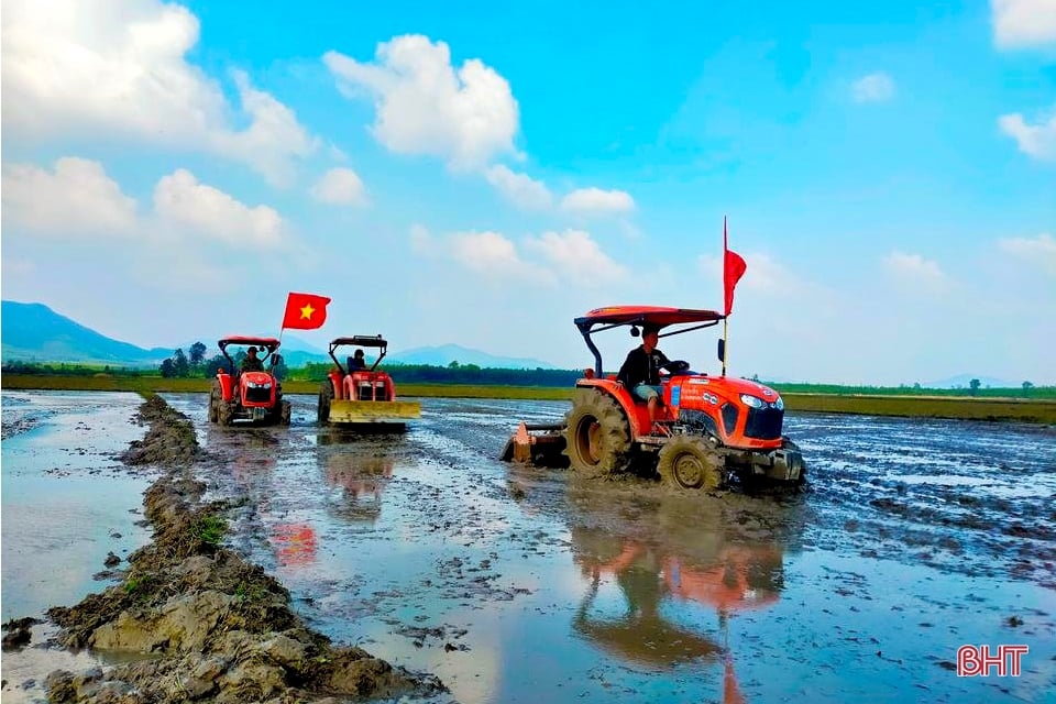 Xây dựng huyện nông thôn mới - Kỳ Anh nỗ lực bứt phá (bài 1): Tìm giá trị mới cho nông nghiệp, nông thôn