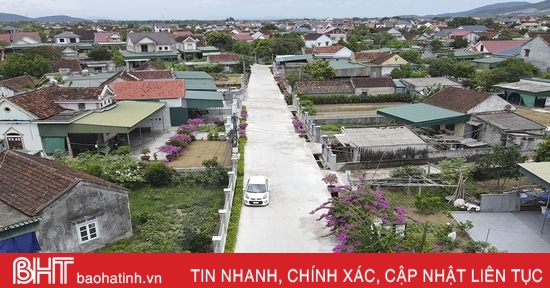 Hoa giấy nở tím miền quê nông thôn mới kiểu mẫu của Can Lộc