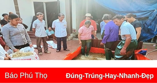 Giúp người dân thoát nghèo