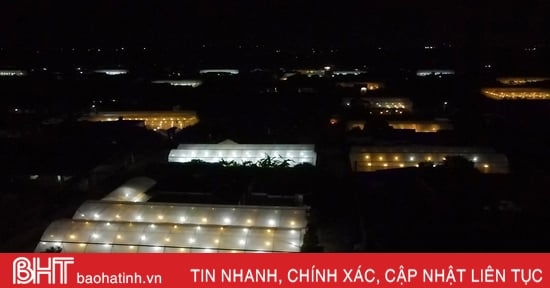 Funkelnde Lichter in den Blumengärten warten auf Tet in Ha Tinh