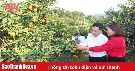 Trang trại triệu đô