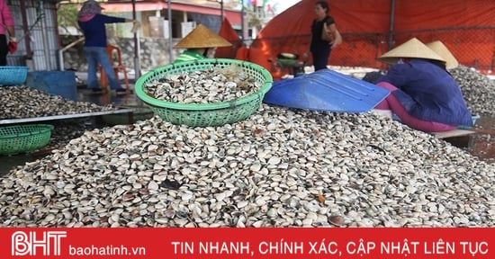 Vì sao hợp tác xã Hà Tĩnh khó tiếp cận vốn từ ngân hàng?