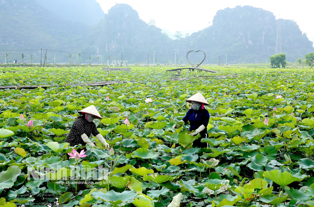 ឆ្ពោះទៅរកសេដ្ឋកិច្ចកសិកម្មដែលមានកាបូនទាប