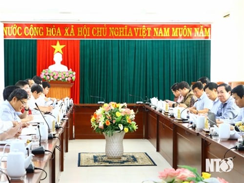 Provincial People's Committee leaders work with Vietnam Electricity Group