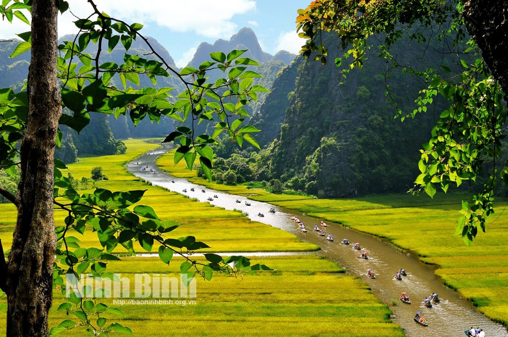 Photographers with Ninh Binh Tourism Week: The Golden Colors of Tam Coc and Trang An