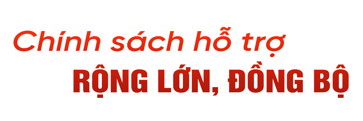 Những quyết sách tạo động lực để Hà Tĩnh bứt phá (bài 2): Ưu tiên nguồn lực phát triển toàn diện “tam nông”