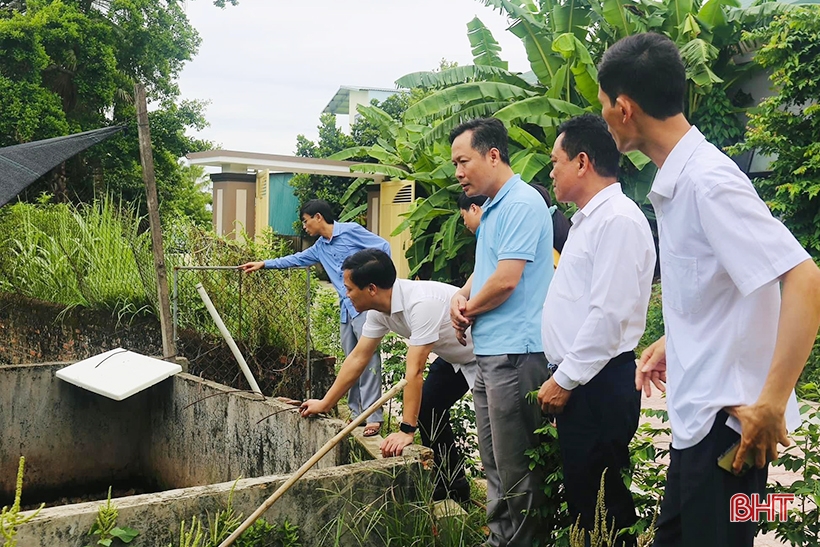 De nouvelles perspectives pour la start-up thaïlandaise d'élevage de grenouilles à Thach Ha