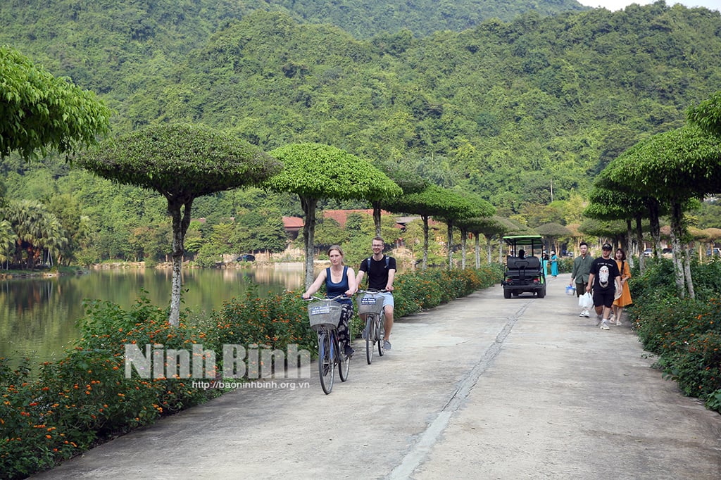 Trải nghiệm đạp xe và chèo thuyền tại Ninh Bình là tour trải nghiệm tuyệt vời nhất thế giới