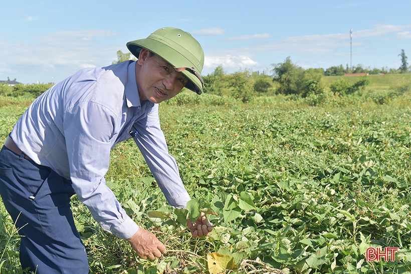 Người cựu chiến binh và nỗ lực cải tạo bãi bồi ven sông La