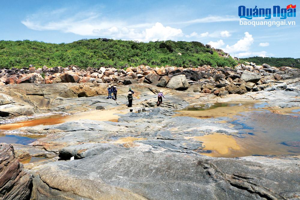 Trang Muoi, eski çağlardan günümüze kadar insanların tuz üretimiyle uğraştığı bir bölgedir. Fotoğraf: Ngoc Khoi