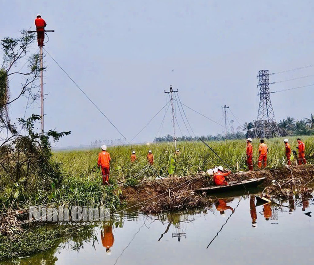 ក្រុមហ៊ុនថាមពល Ninh Binh រួមដៃគ្នាដោះស្រាយបញ្ហាបណ្តាញអគ្គិសនីនៅខេត្ត Quang Ninh បន្ទាប់ពីព្យុះលេខ៣