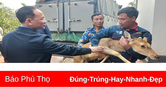 Bàn giao hươu sao lấy nhung hỗ trợ hộ dân thoát nghèo