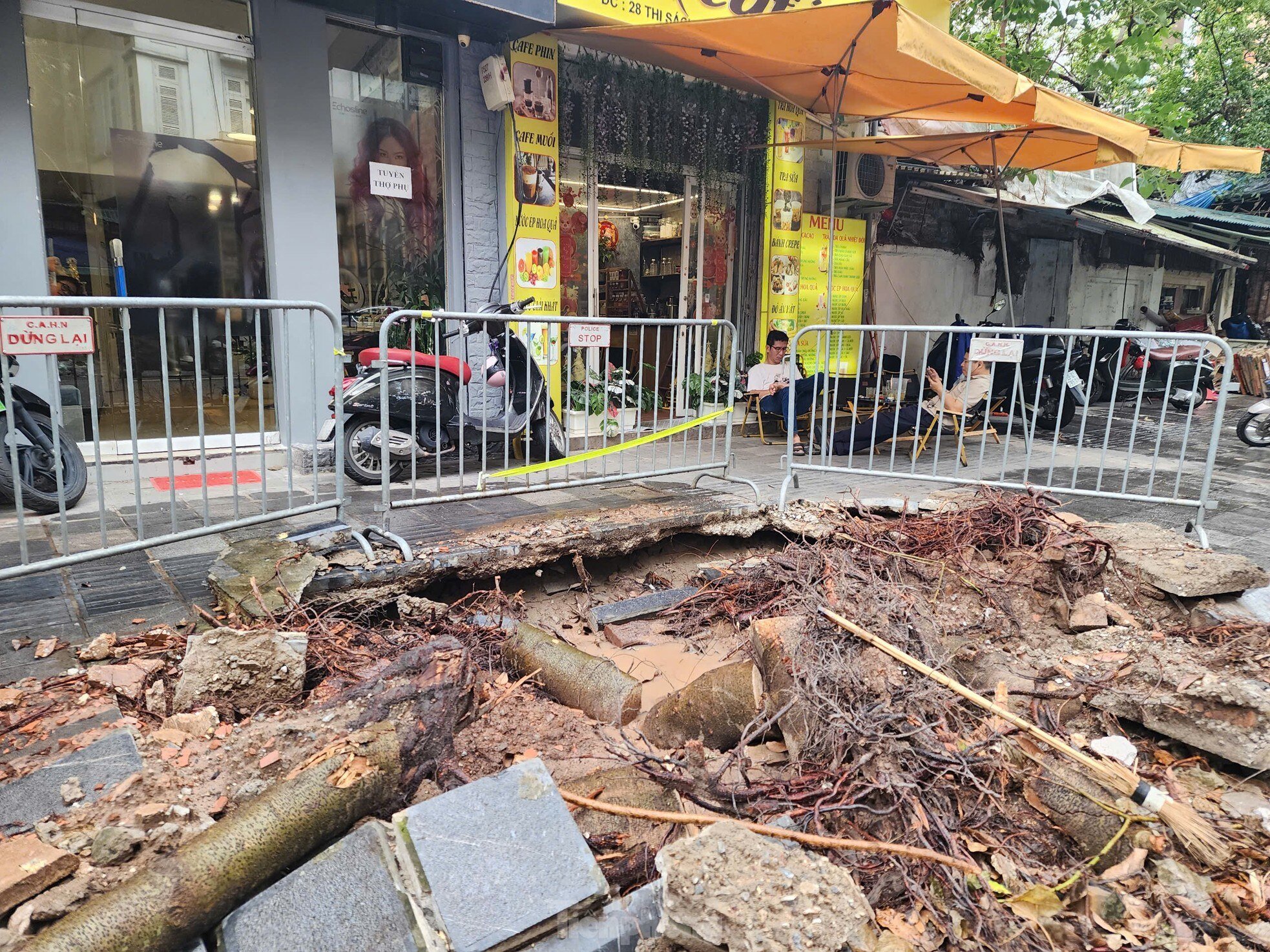 After cleaning up fallen trees, Hanoi begins to rebuild green space photo 7