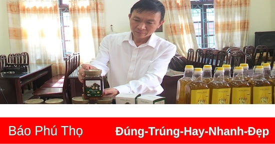 Dầu cọ gai Sông Thao