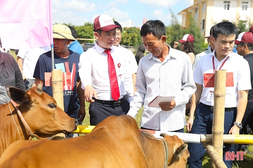 Ngân hàng Hà Tĩnh trợ lực nền kinh tế, trách nhiệm với cộng đồng