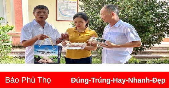 Hướng đến sản xuất nông nghiệp bền vững