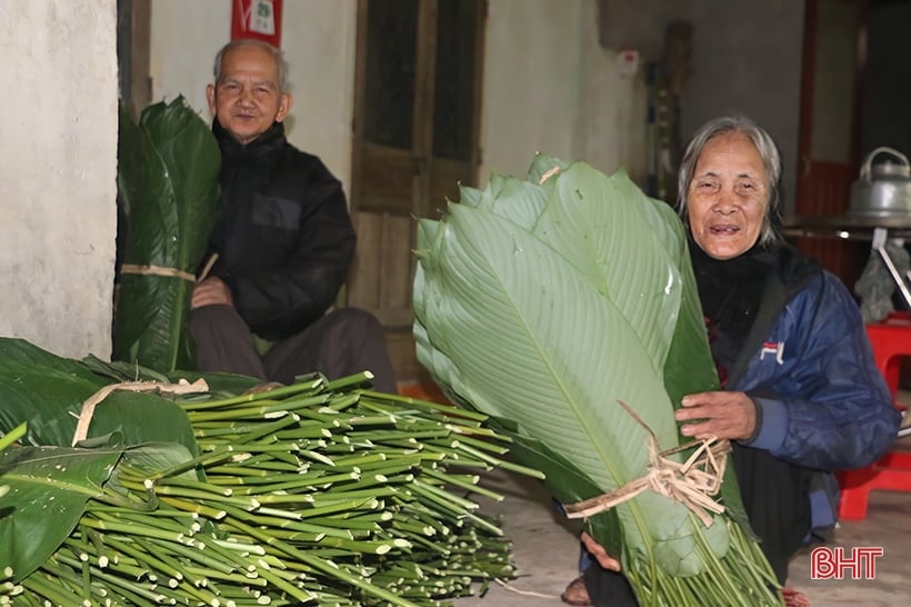 Village de Dong Leaf sur la plaine alluviale de la rivière Ngan Pho pendant la saison du Têt