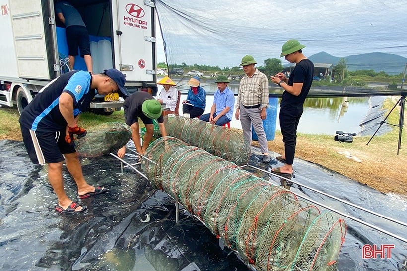 การนำรูปแบบการเลี้ยงกุ้งโดยใช้เทคโนโลยีหมุนเวียนน้ำมาใช้อย่างประสบความสำเร็จเป็นครั้งแรกในเมืองกีอันห์