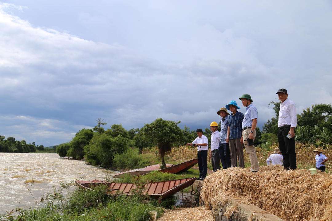 Encuesta para evaluar el impacto de la operación del embalse hidroeléctrico Buon Kuop que provoca inundaciones en los arrozales del distrito de Krong Ana.