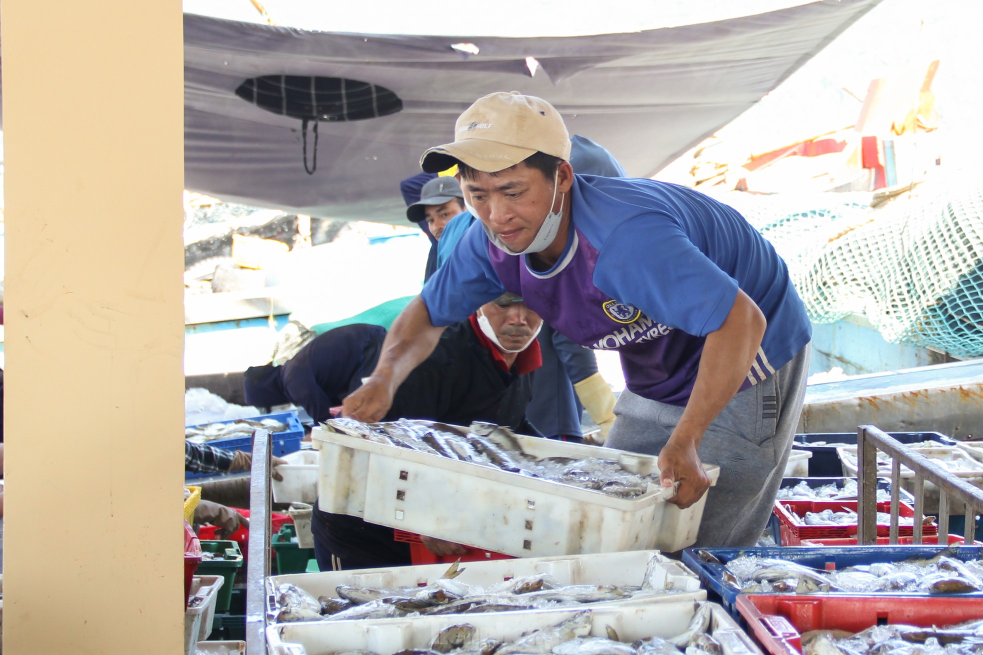 ទិដ្ឋភាព​បិទ​ការដ្ឋាន​សាង​សង់​មជ្ឈមណ្ឌល​ជលផល Da Nang ធំ រូបថត ១៦