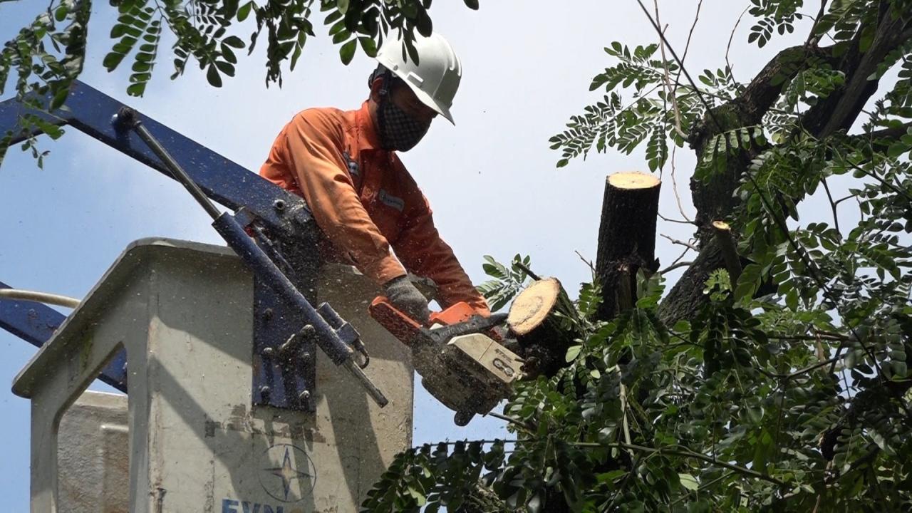 Les travailleurs de Nui Thanh Power vérifient le réseau électrique Photo V.P