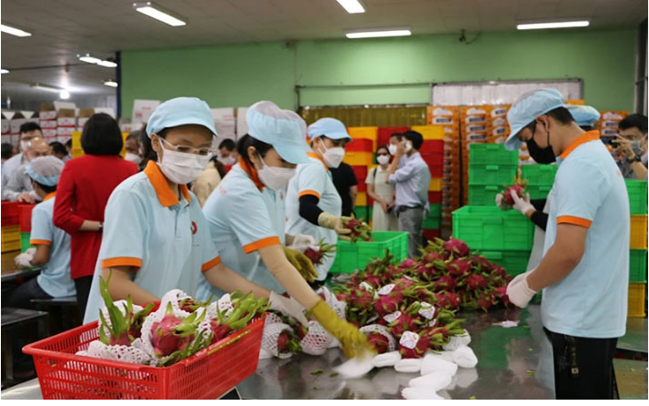 Содействие сезонному экспорту сельскохозяйственной продукции