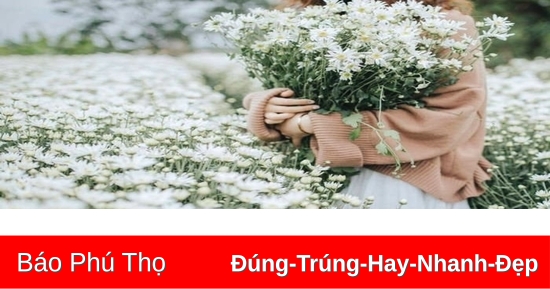 Họa mi vương vấn