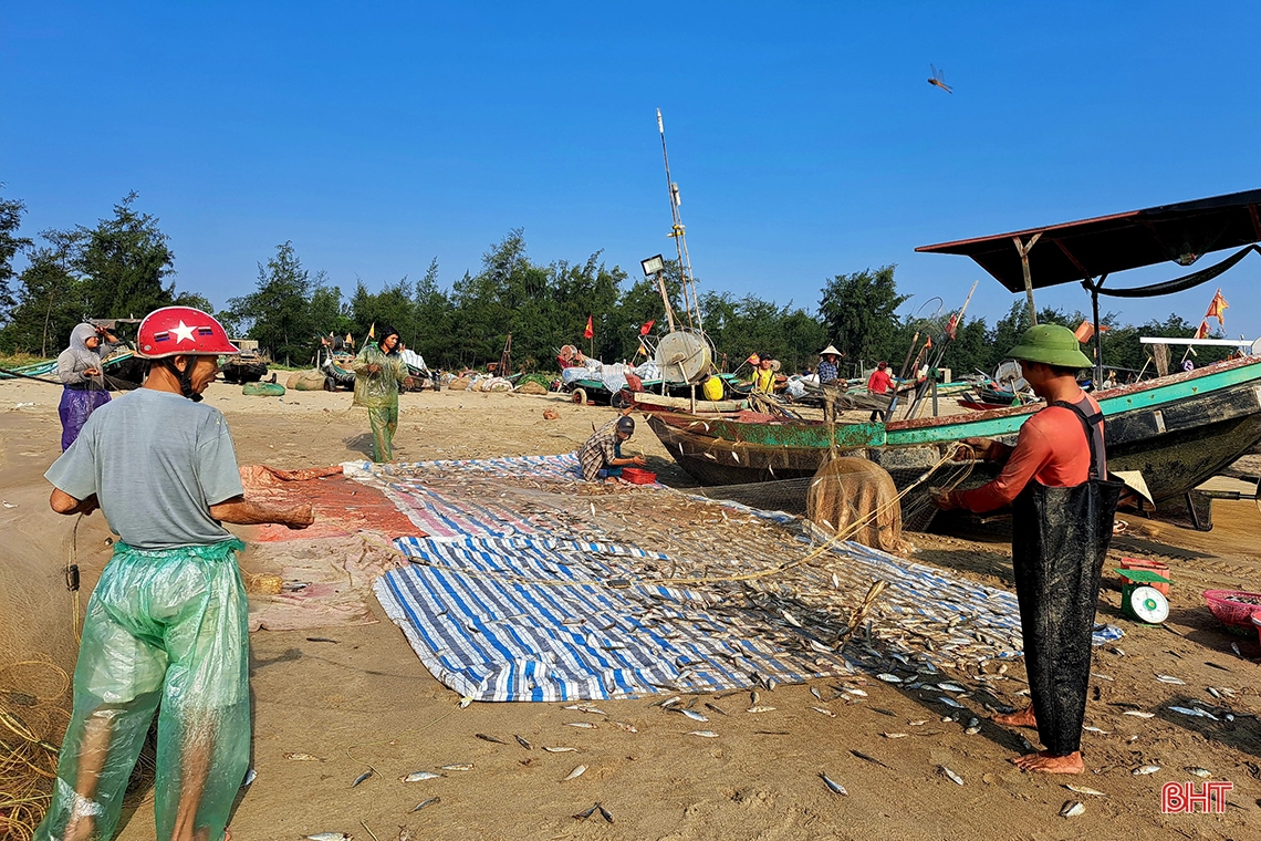 Mừng Quốc khánh, ngư dân Nghi Xuân hăng say bám biển