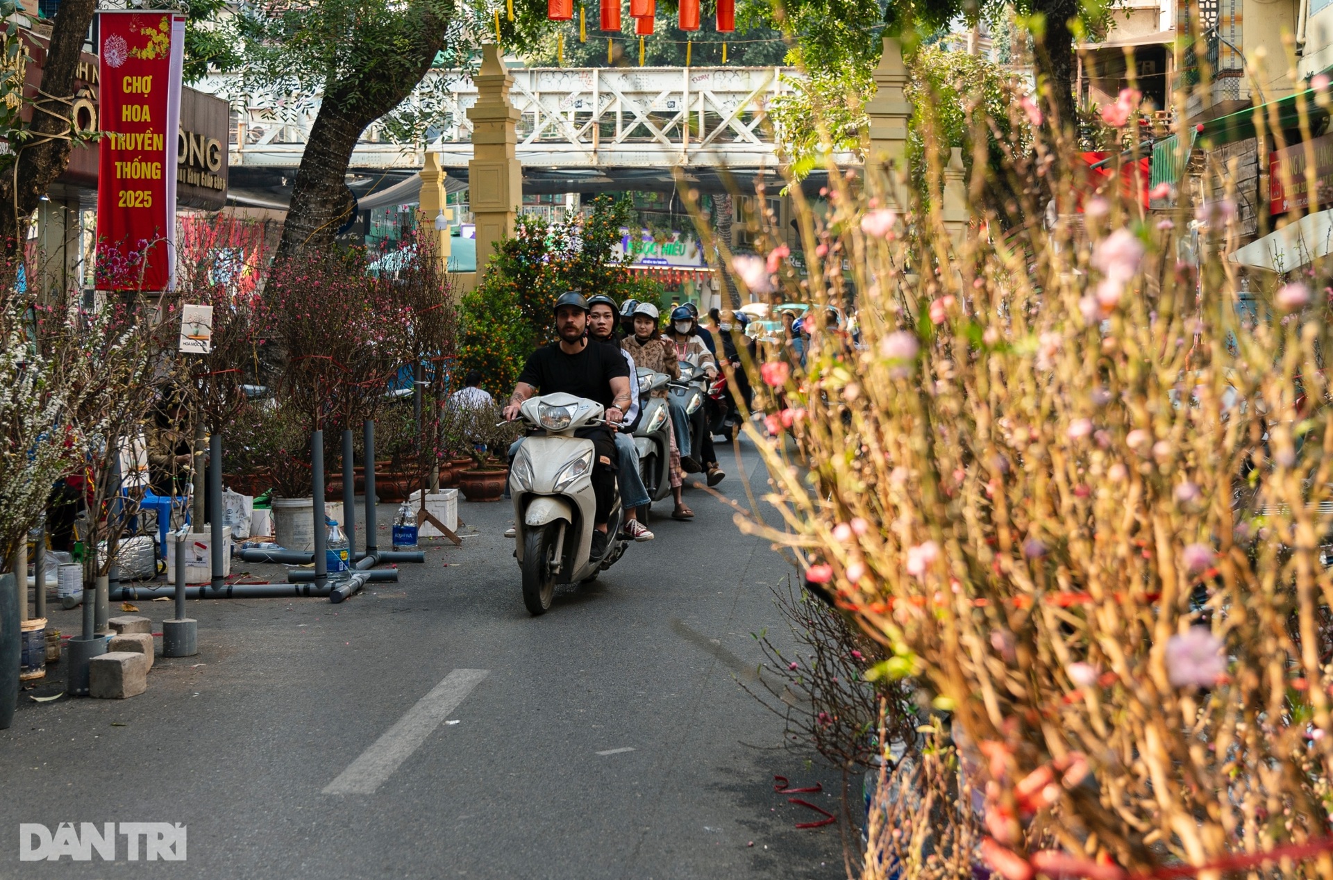 Khách Tây thích thú tận hưởng không khí Tết Nguyên đán ở Hà Nội - 6