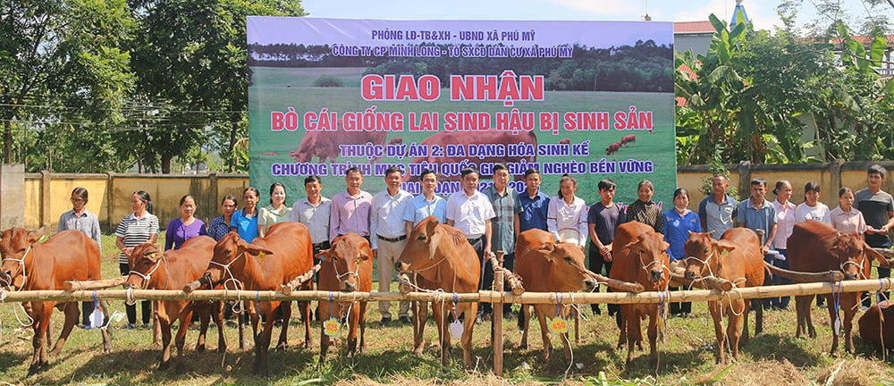 ការ​ដឹក​ជញ្ជូន​គោ​បង្កាត់​ពូជ​ដល់​ក្រុម​ផលិត​ផល​សហគមន៍​ឃុំ Phu My