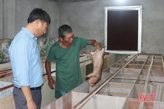 De nombreux modèles d'élevage « uniques et étranges » des agriculteurs de Cam Xuyen