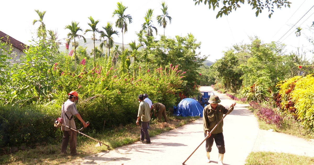 Veterans of Tien Phuoc district help each other develop the economy