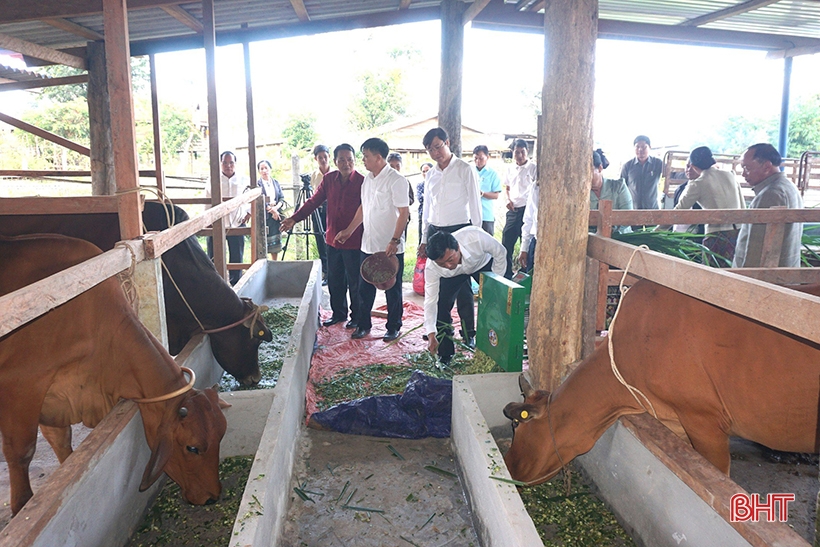 Hương Khê hỗ trợ nông dân Lào hơn 1 tỷ đồng phát triển nông nghiệp