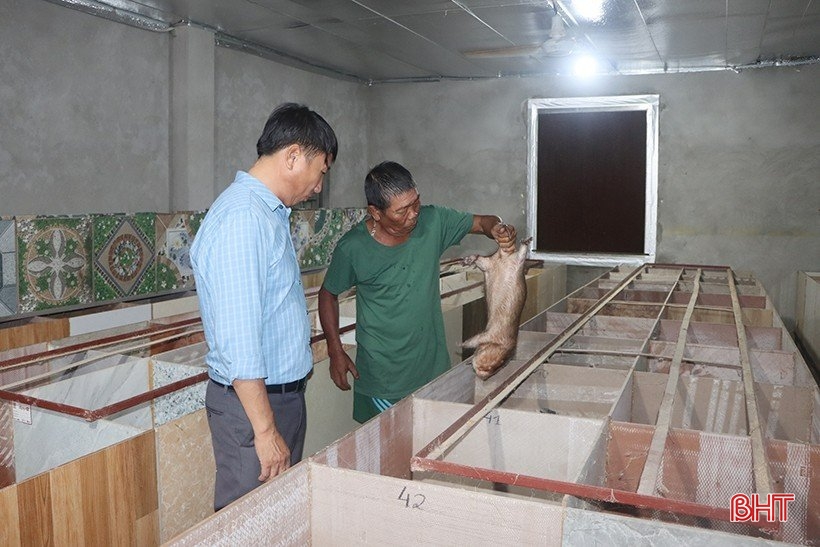 De nombreux modèles d'élevage « uniques et étranges » des agriculteurs de Cam Xuyen