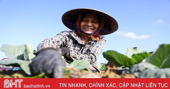 Truyện ngắn: Cánh đồng mùa xuân