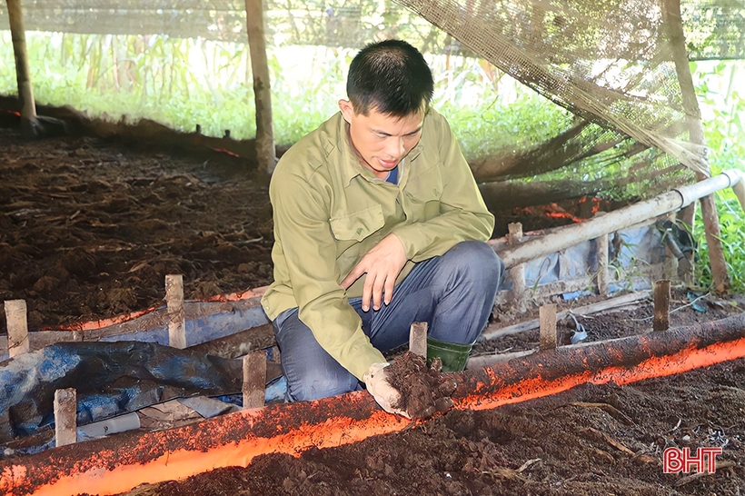 Prospects from earthworm farming model in Vu Quang