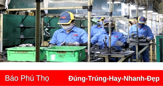 Phát huy vai trò của doanh nghiệp có vốn đầu tư trong nước