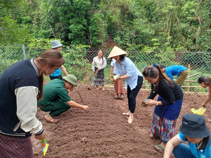 Vocational training for rural workers is focused.
