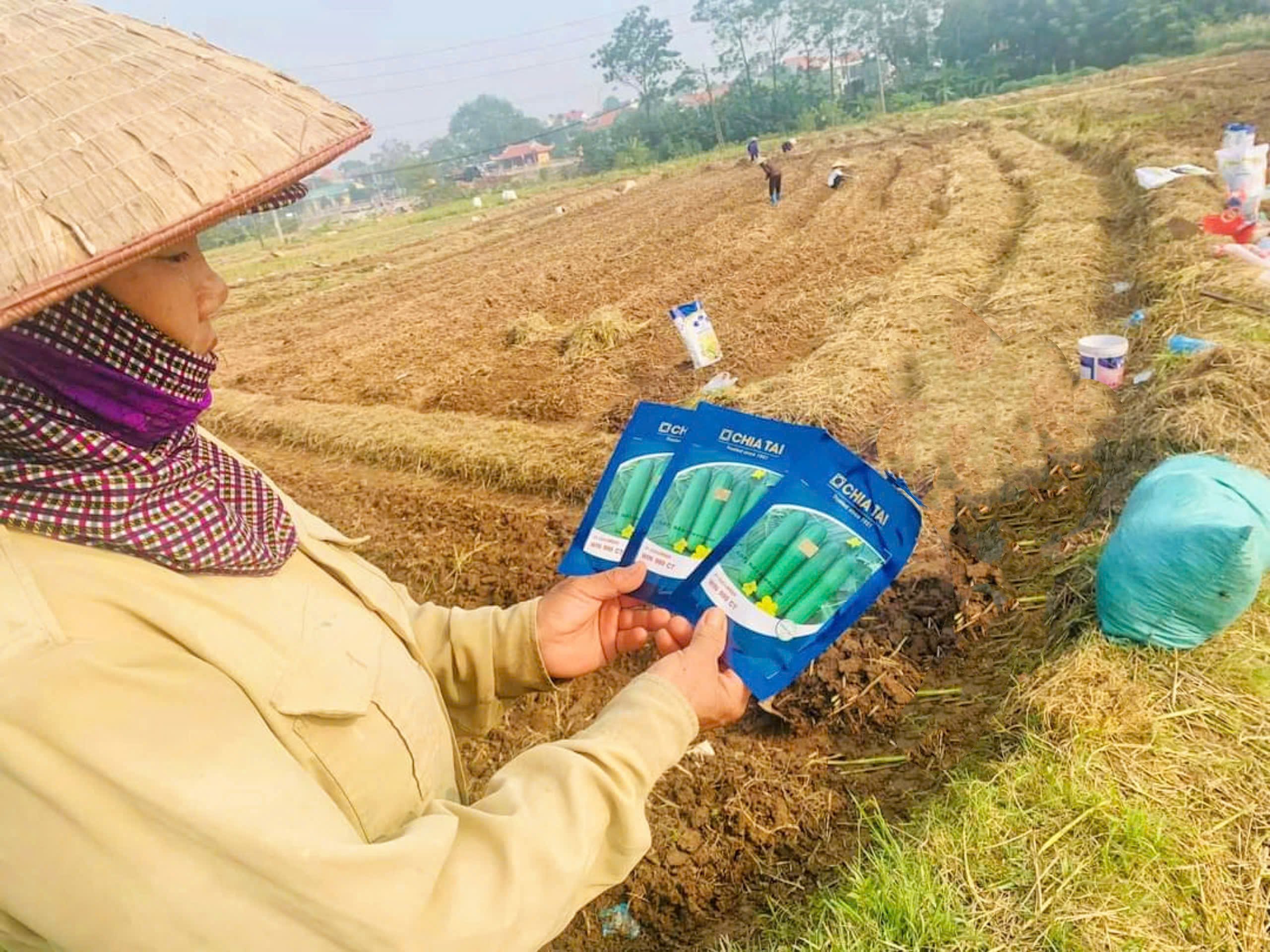 កុំទុកដីនៅរដូវរងា