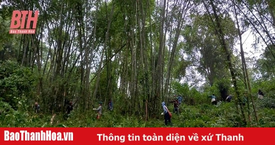 Xã vùng biên Tam Lư huy động nguồn lực XDNTM nâng cao