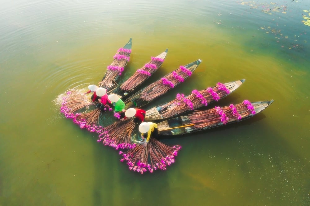 “Estas fotografías recrean la escena de personas cosechando y lavando flores de loto. Esta es esencialmente una actividad real, pero para tener obras más bellas y artísticas, la hemos reorganizado un poco. 