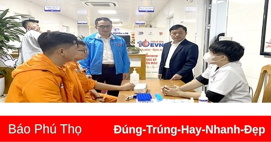 Tuần lễ hồng EVN lần thứ X