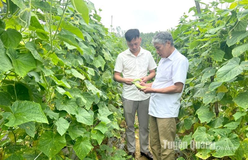 สนับสนุนนโยบายทุนสินเชื่อตามมติ 03 สภาประชาชนจังหวัด : สนับสนุนพัฒนาการผลิตในพื้นที่ยากลำบาก