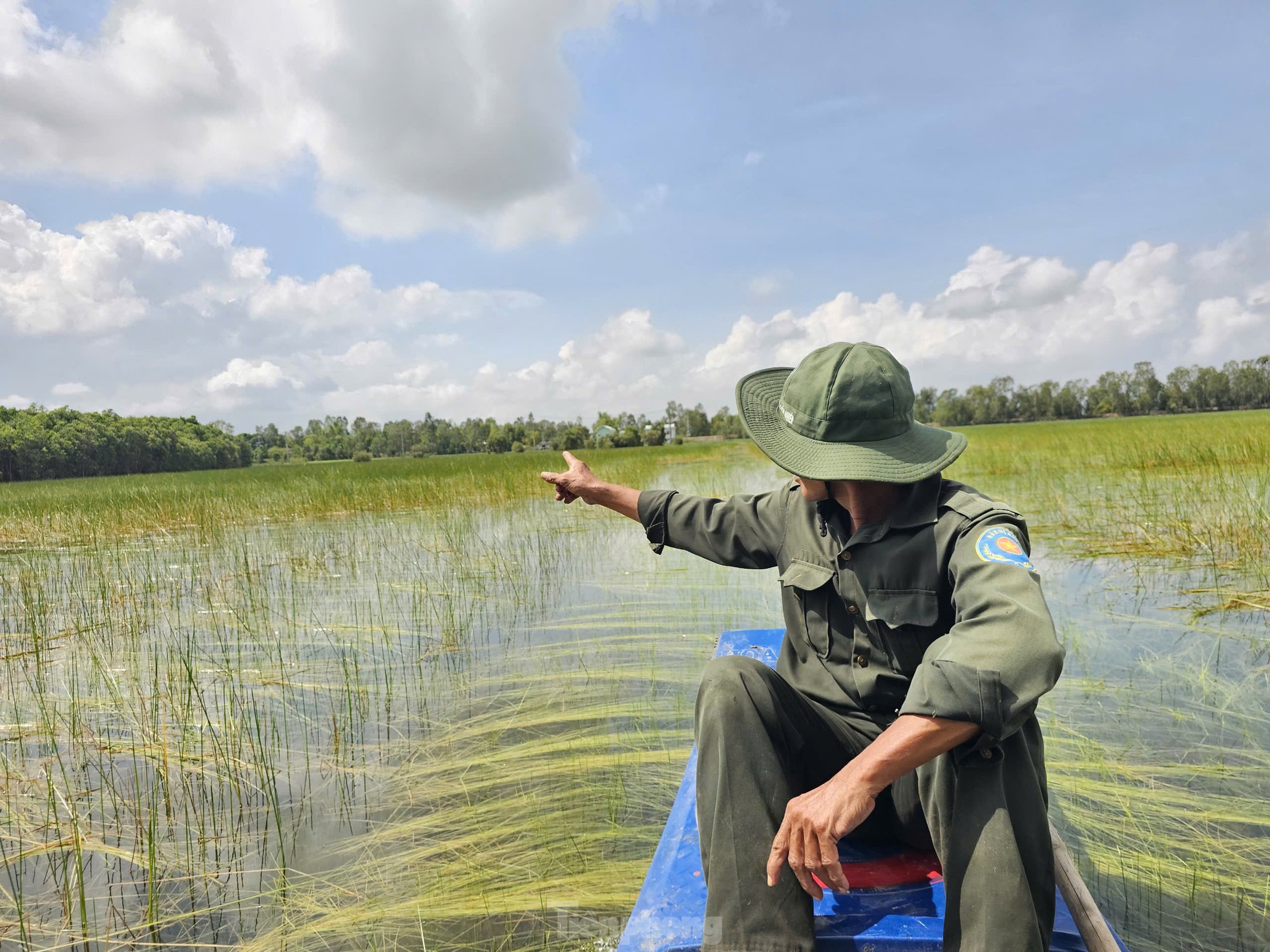 អ្នកវិទ្យាសាស្ត្រធ្វើបែបនេះ ដើម្បីទាក់ទាញសត្វក្រៀលក្រហម ឱ្យត្រឡប់ទៅឧទ្យានជាតិ ត្រាំ ជឹម រូបថត ៥