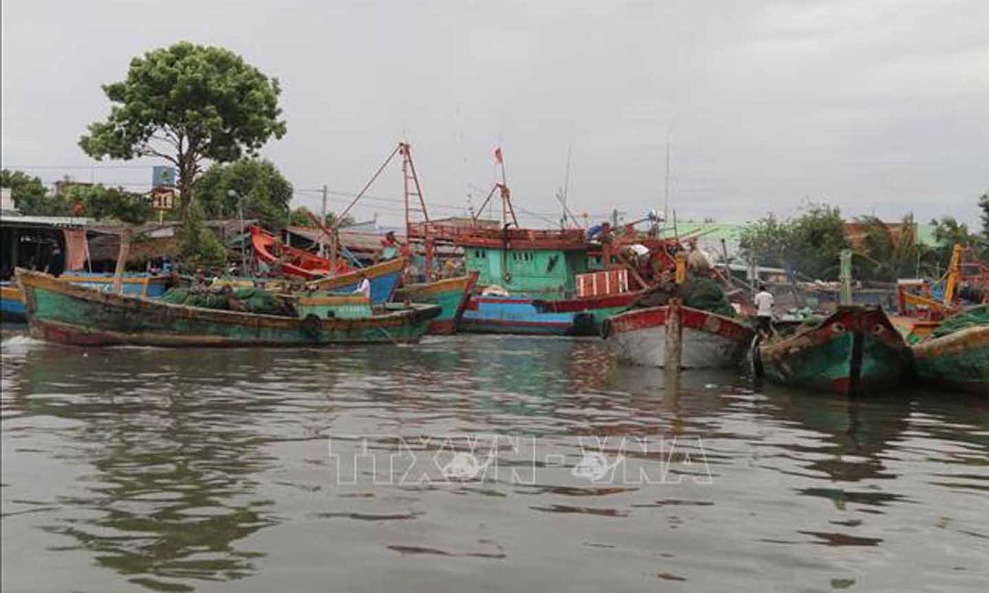 Chương trình hành động của Chính phủ chống khai thác thủy sản bất hợp pháp