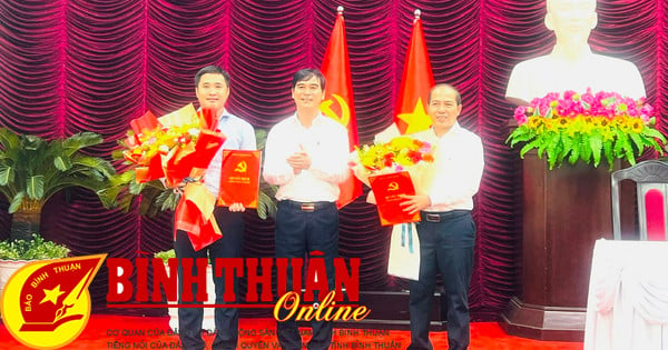 Comité Provincial del Partido de Binh Thuan: Anuncio de la decisión de nombrar al Director del Departamento de Planificación