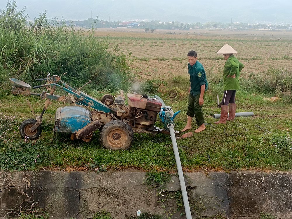 Chủ động chống hạn cho cây trồng vụ đông