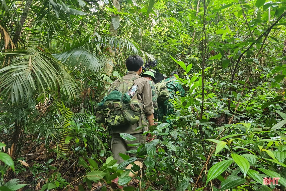 Discover the hidden beauty of Vu Quang National Park