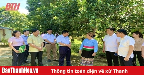 Phát huy vai trò “huyết mạch” dẫn dắt nền kinh tế