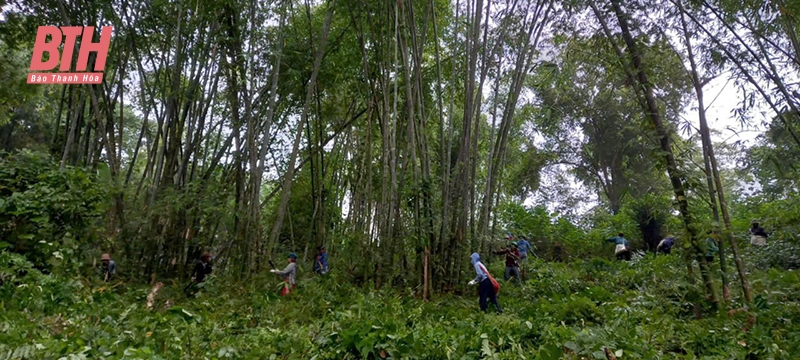 Tam Lu border commune mobilizes resources for advanced new rural construction